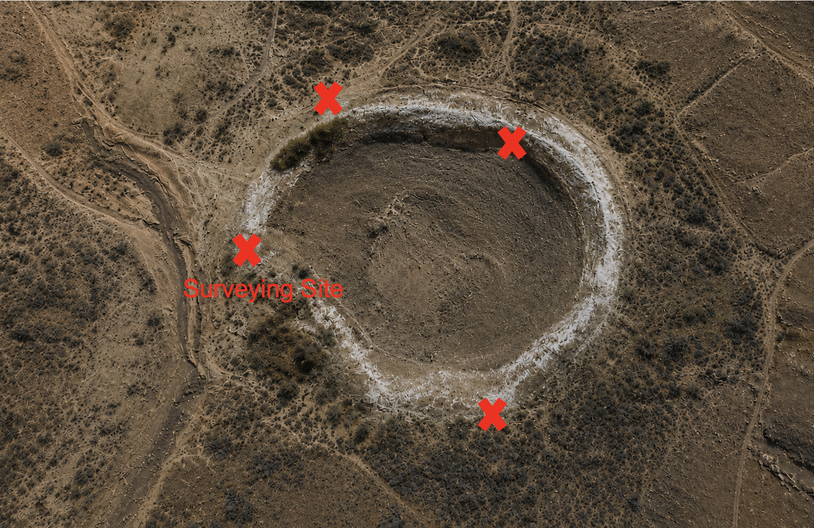 Target stage of the Serinus field service process